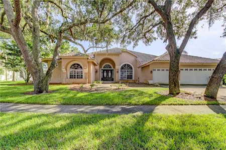 4908 Turtle Creek Trl Oldsmar, FL 34677