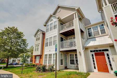 2444 Blue Spring Ct #202 Odenton, MD 21113