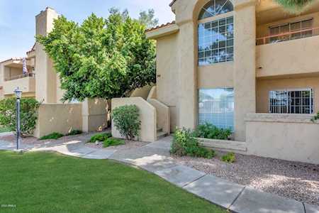 1333 E Morten Avenue #239 Phoenix, AZ 85020