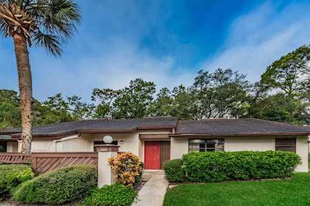 2922 Star Apple Ct Palm Harbor, FL 34684