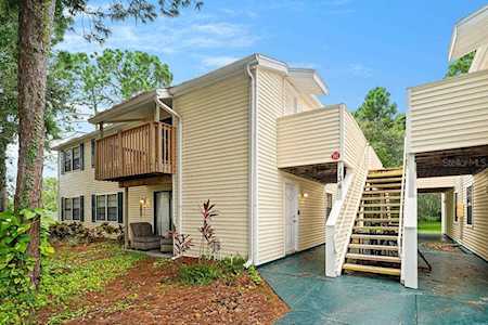 134 Sycamore Ln #E Oldsmar, FL 34677