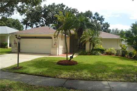 3530 Oak Lake Dr Palm Harbor, FL 34684
