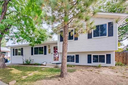6162 Devils Head Ct Golden, CO 80403