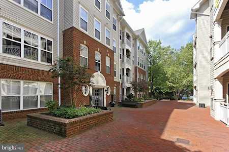 5108 Donovan Dr #202 Alexandria, VA 22304