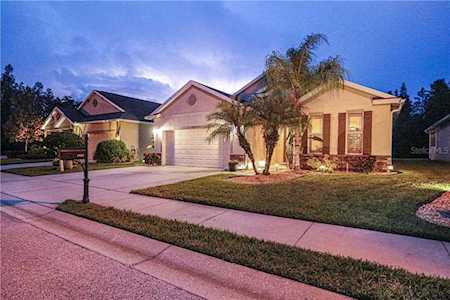 1434 Halapa WAY Trinity, FL 34655
