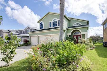 1653 Gray Bark Dr Oldsmar, FL 34677