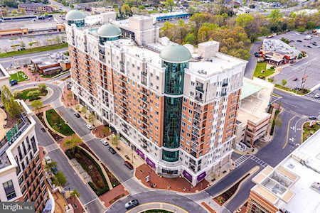 1915 Towne Centre Blvd #1014 Annapolis, MD 21401