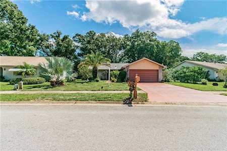 1643 E Dorchester Ct Palm Harbor, FL 34684