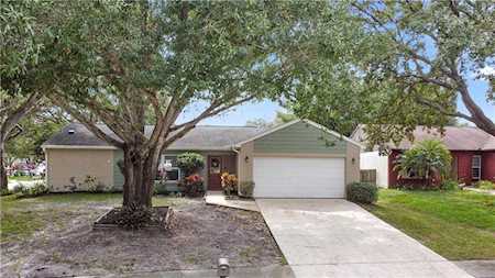 3660 Montclair Dr Palm Harbor, FL 34684