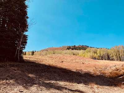 322 White Pine Canyon Rd Park City, UT 84060