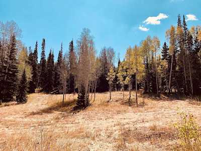313 White Pine Canyon Rd Park City, UT 84060