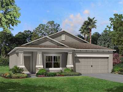 30451 Caravelle Ln Wesley Chapel, FL 33545