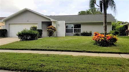 2820 Thistle Ct S Palm Harbor, FL 34684