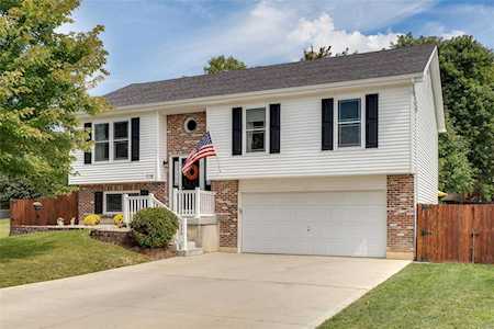 716 Tobermory Ct Wentzville, MO 63385