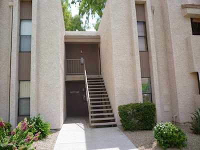 7510 E Thomas Road #119 Scottsdale, AZ 85251