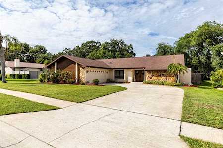 2803 Hamlin PLACE Palm Harbor, FL 34684