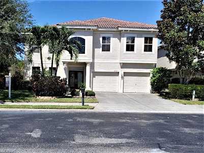2216 Clarine WAY N Dunedin, FL 34698