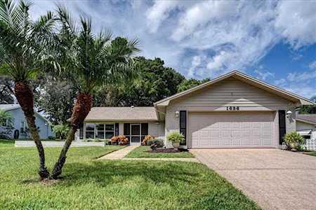 1636 Kilwinning Ct Palm Harbor, FL 34684