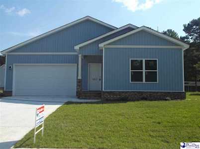 3317 Spiral Lane Effingham, SC 29541