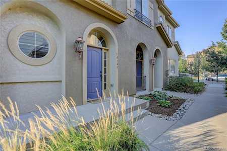 10145 Bluffmont Ln Lone Tree, CO 80124