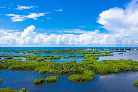 393 N Point Rd #1001 Osprey, FL 34229