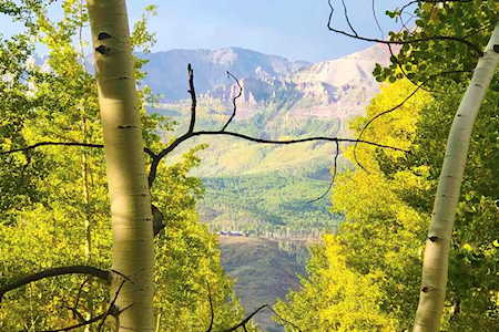 TBD Wapiti Rd #21 Telluride, COLORADO 81435