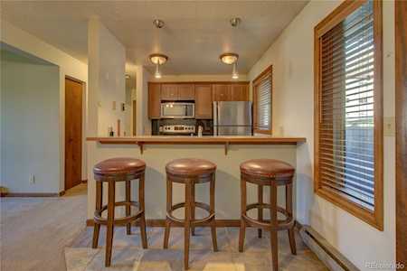 1555 Shadow Run Ct Steamboat Springs, CO 80487