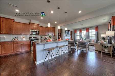 19820 Elise Caroline Alley Davidson, NC 28036