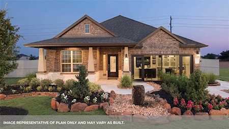 1563 Harvest Vine Ct Friendswood, TX 77546