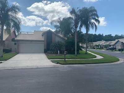 5450 Greyston St Palm Harbor, FL 34685