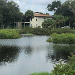 515 Landings Way #74 Merritt Island, FL 32952