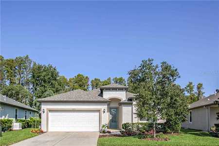 8455 May Port Ct Land O Lakes, FL 34638