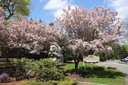 171 Swanton St #41 Winchester, MA 01890