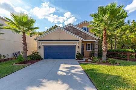 1719 Ludington Ave Wesley Chapel, FL 33543