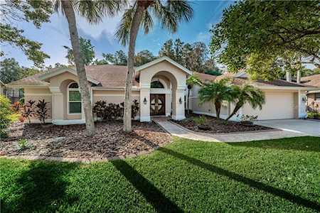 3367 Hickorywood WAY Tarpon Springs, FL 34688