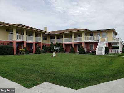 1101 Philadelphia Ave #1 Ocean City, MD 21842
