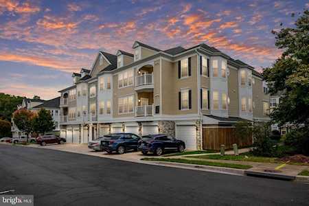 1511 Feral Dae Ln #6-302 Annapolis, MD 21409
