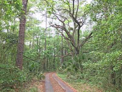 Lot 2 Thomasville Rd Tallahassee, FL 32308