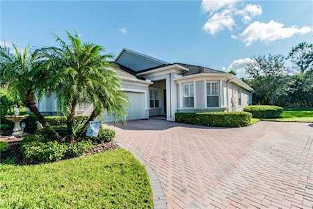 3647 Fawnmist Dr Wesley Chapel, FL 33544