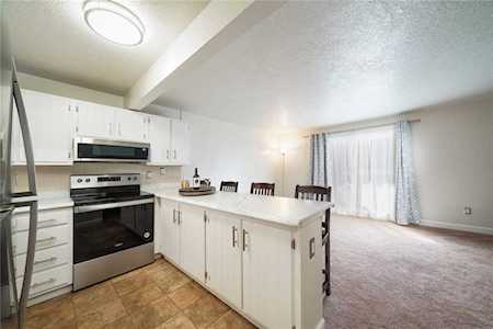 705 Straight Creek Dr Dillon, CO 80435