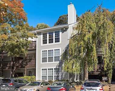 10184 Oakton Terrace Rd Oakton, VA 22124