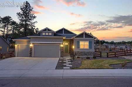 16386 Shadow Cat Place Monument, CO 80132