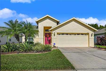 20827 Redblush Ln Land O Lakes, FL 34637