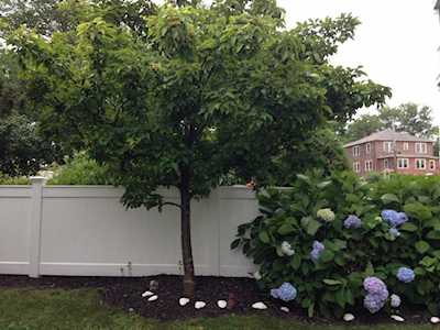 15 Park Ave #108 Hull, MA 02045