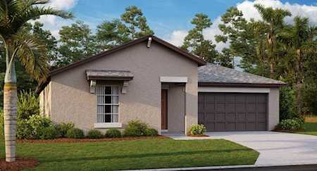 6437 Spider Lily WAY New Port Richey, FL 34653