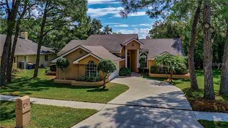 3031 Homestead Oaks Dr Clearwater, FL 33759