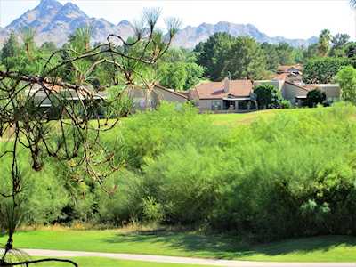 4303 E Cactus Road #424 Phoenix, AZ 85032
