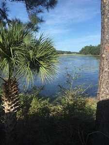 1502 Marsh Haven Rd Seabrook Island, SC 29455