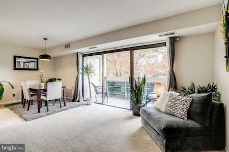 6141 Leesburg Pike #403 Falls Church, VA 22041