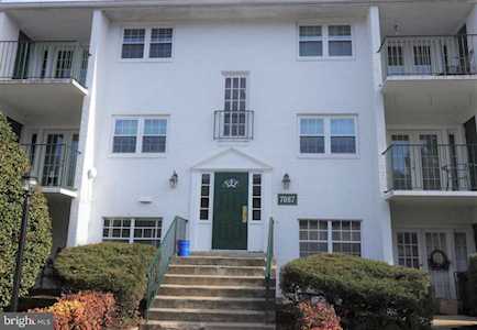 7087 Spring Garden Dr #203 Springfield, VA 22150